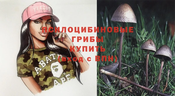 ПСИЛОЦИБИНОВЫЕ ГРИБЫ Балабаново
