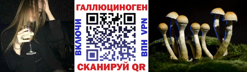 площадка наркотические препараты  гидра   Снежногорск  Галлюциногенные грибы мицелий 