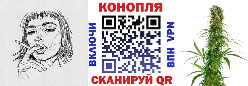 Бошки Шишки план  Снежногорск 
